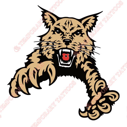 Abilene Christian Wildcats 1997-2012 Partial Logo1 Customize Temporary Tattoos Stickers N3678